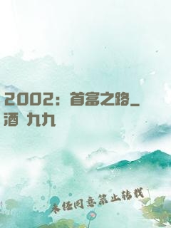 2002：首富之路