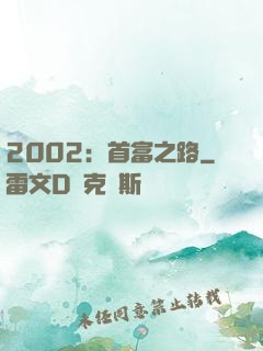 2002：首富之路