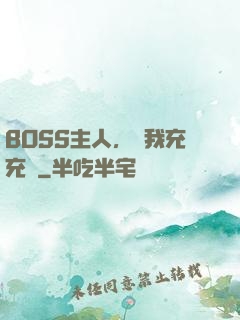 BOSS主人，幫我充充電