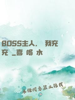 BOSS主人，幫我充充電