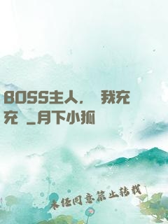 BOSS主人，幫我充充電