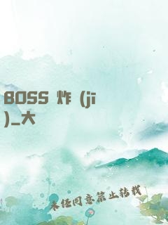 BOSS轟炸機(jī)