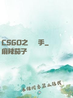 CSGO之職業選手