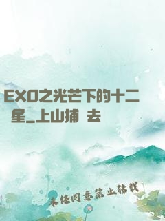 EXO之光芒下的十二顆星