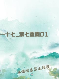一十七