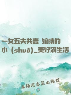 一女五夫共妻蘇婉晴的小說(shuō)