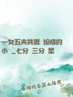 一女五夫共妻蘇婉晴的小說