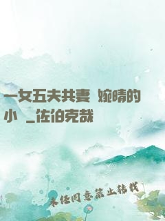 一女五夫共妻蘇婉晴的小說