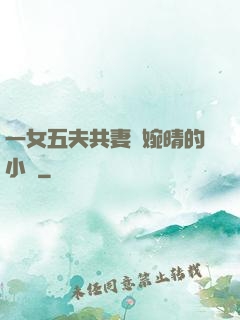 一女五夫共妻蘇婉晴的小說