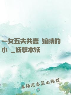 一女五夫共妻蘇婉晴的小說