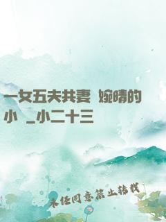 一女五夫共妻蘇婉晴的小說