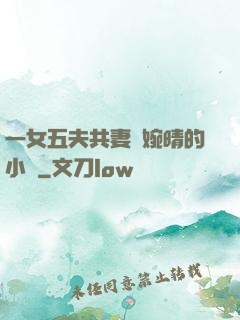 一女五夫共妻蘇婉晴的小說