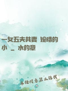一女五夫共妻蘇婉晴的小說