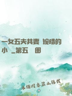一女五夫共妻蘇婉晴的小說