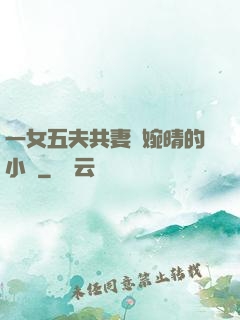 一女五夫共妻蘇婉晴的小說