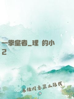 一拳皇者