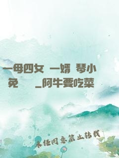 一母四女戰一婿劉琴小說免費閱讀