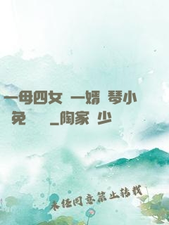 一母四女戰一婿劉琴小說免費閱讀