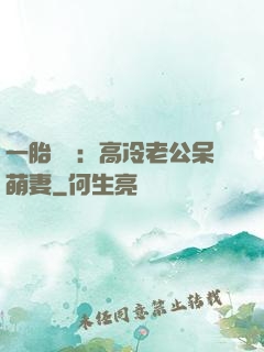 一胎兩寶：高冷老公呆萌妻