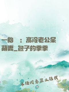 一胎兩寶：高冷老公呆萌妻