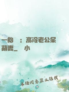 一胎兩寶：高冷老公呆萌妻