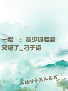 一胎雙寶：景少你老婆又跑了