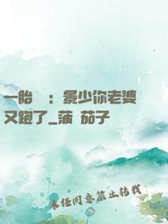 一胎雙寶：景少你老婆又跑了