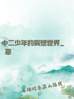 中二少年的妄想世界