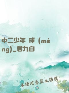 中二少年籃球夢(mèng)