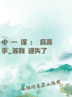 中華一號保鏢：極品高手
