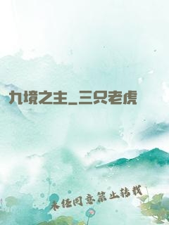九境之主