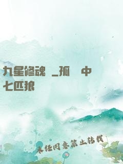 九星修魂訣