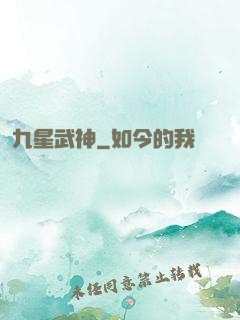 九星武神
