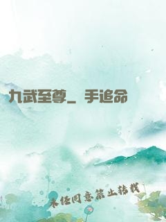 九武至尊