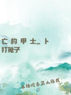 亡國的機甲騎士