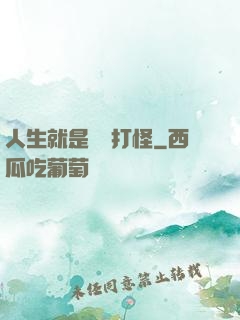 人生就是練級打怪