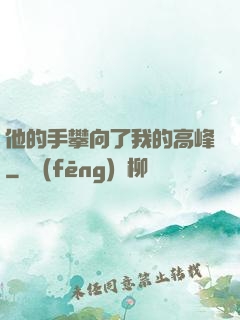 他的手攀向了我的高峰