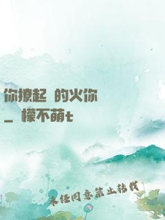 你撩起來的火你負責滅