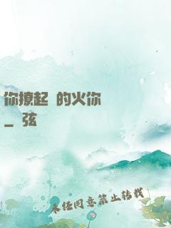 你撩起來的火你負責滅
