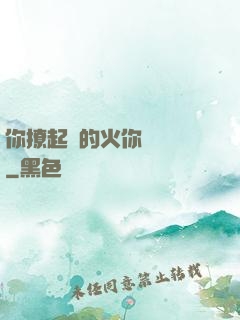 你撩起來的火你負責滅