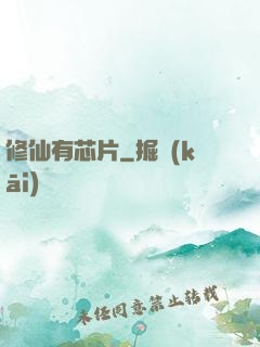 修仙有芯片