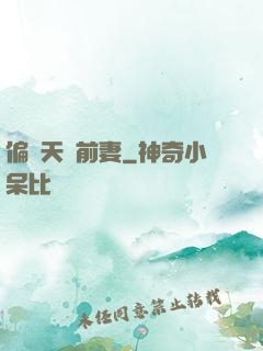 偏寵天價前妻