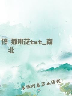 停電插班花txt