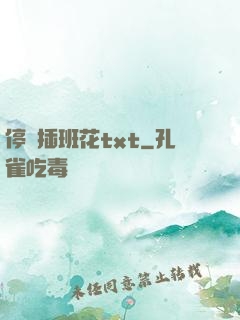 停電插班花txt