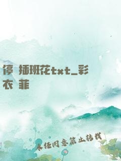 停電插班花txt