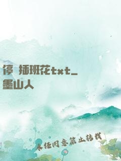 停電插班花txt