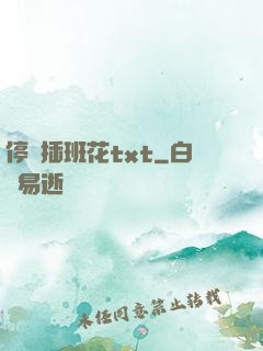 停電插班花txt