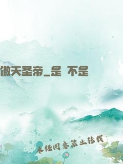 傲天圣帝