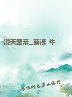 傲天圣帝