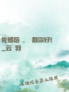 先婚后愛，總裁你好！